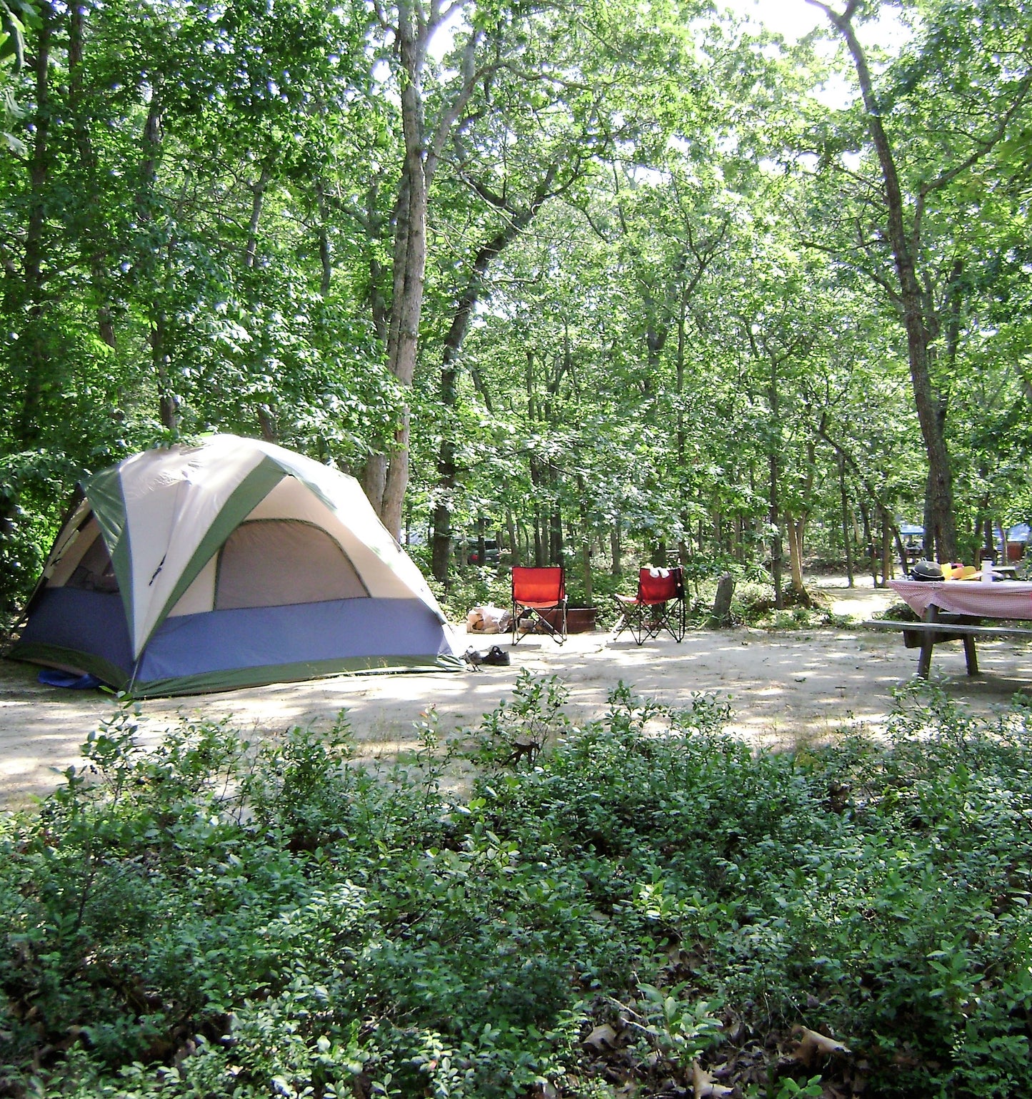 Campsite Check-in/Check-out Information
